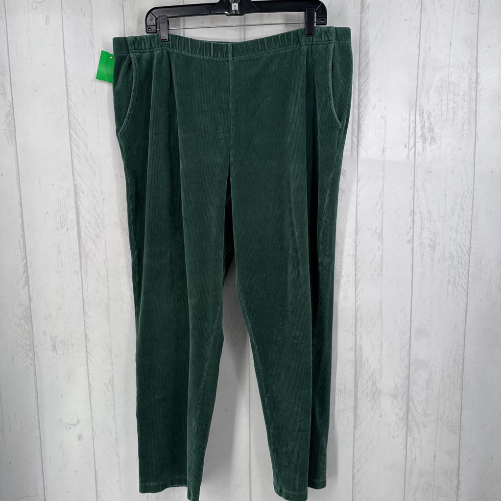 XLp velour ribbed pull-on pants
