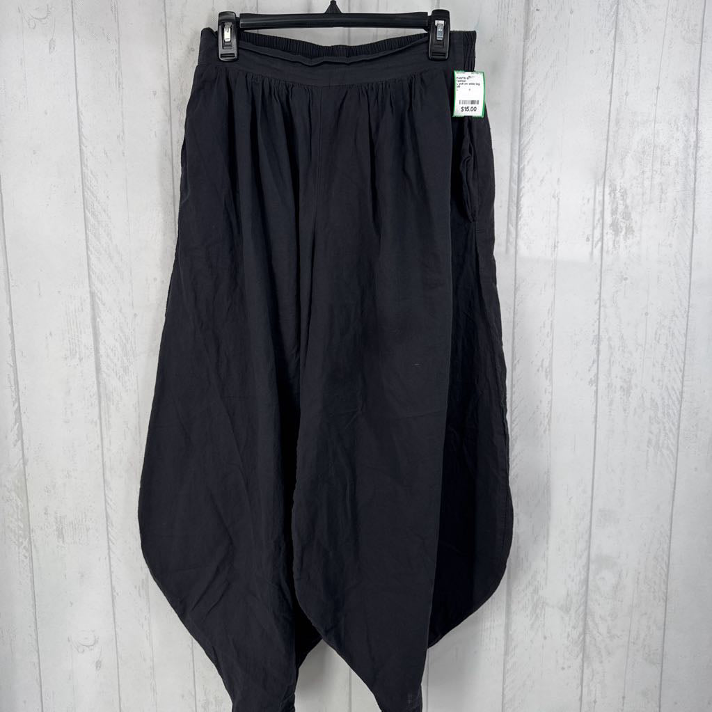L pull on wide leg pants