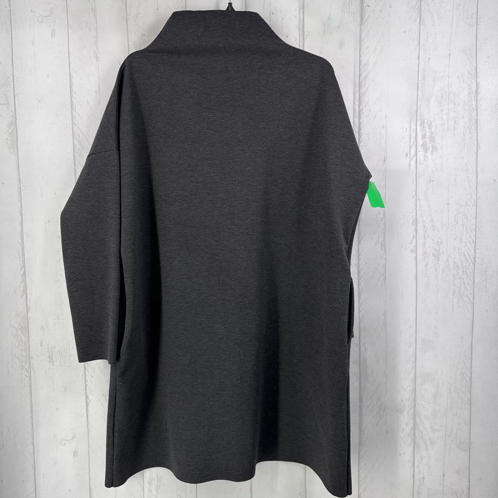 XL mock neck l/s dress