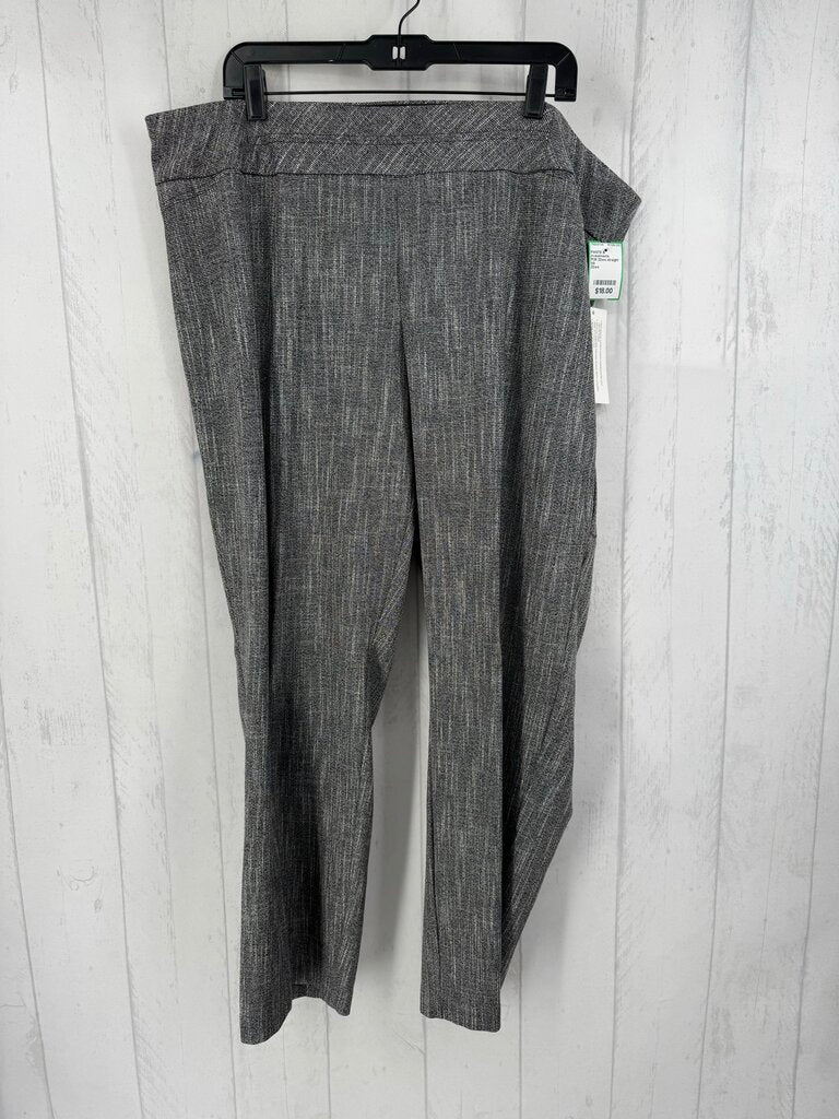 R38 22ws straight leg pants