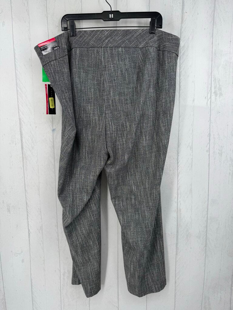 R38 22ws straight leg pants