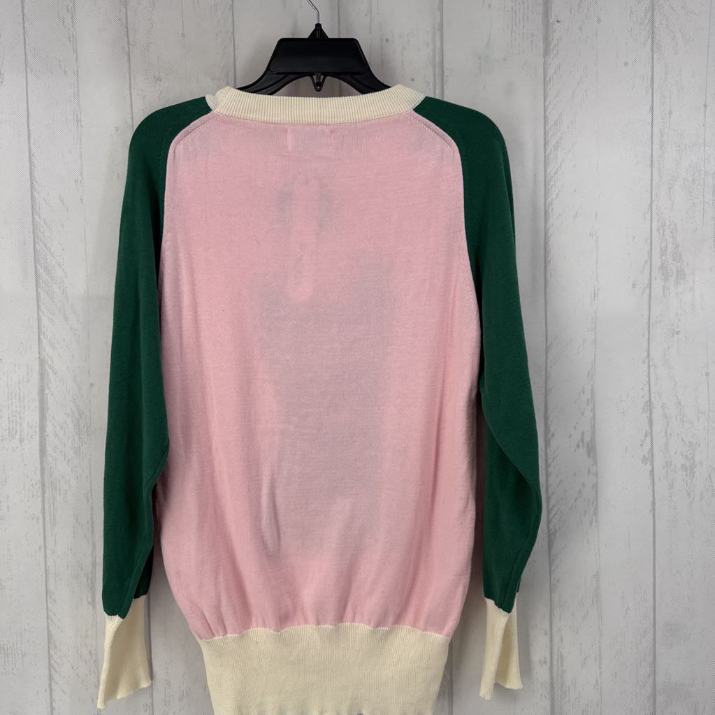 L dog w/ glasses sweater