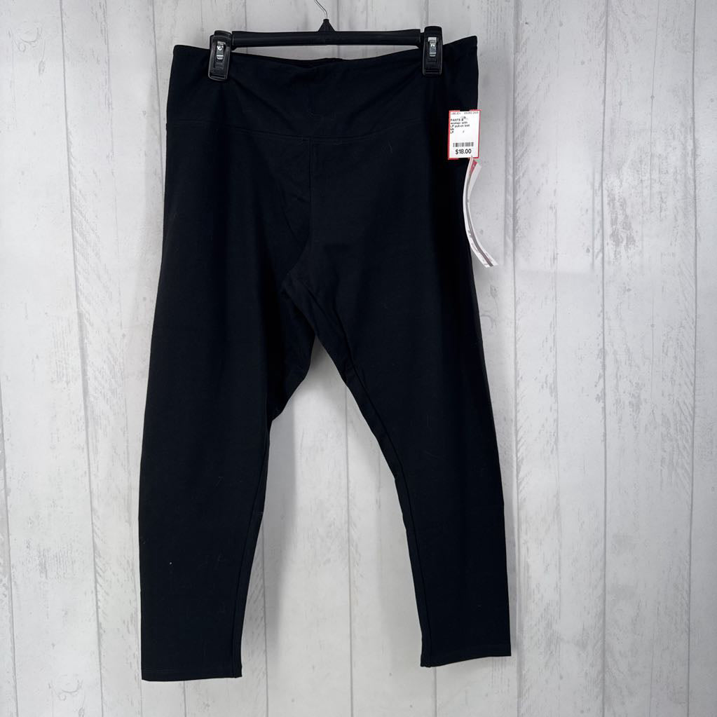 LP pull-on knit pants