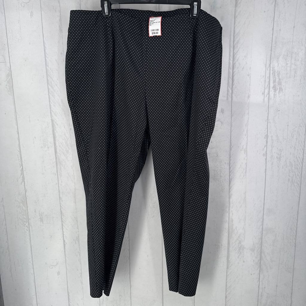 18w polka dot twill pant