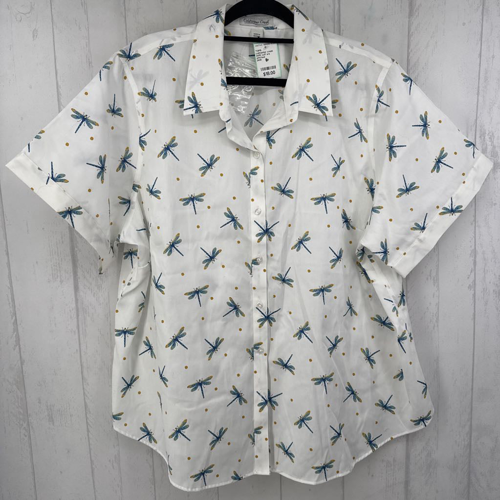 24W cuff s/s dragonfly button shirt