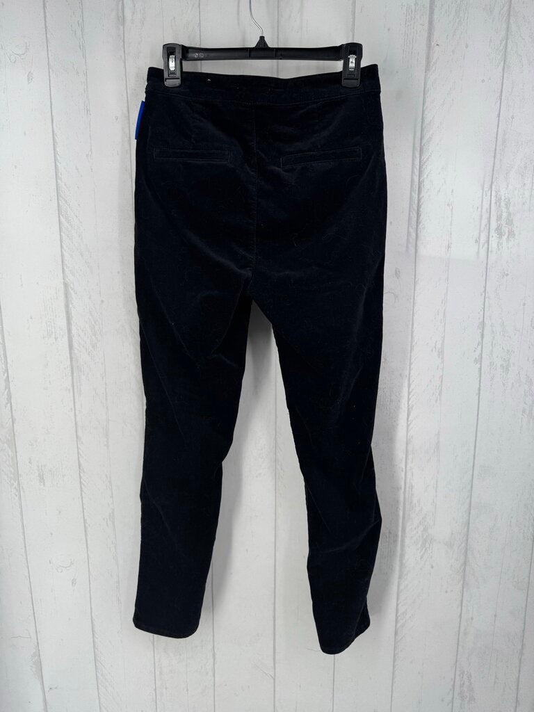 6 velour button front pant