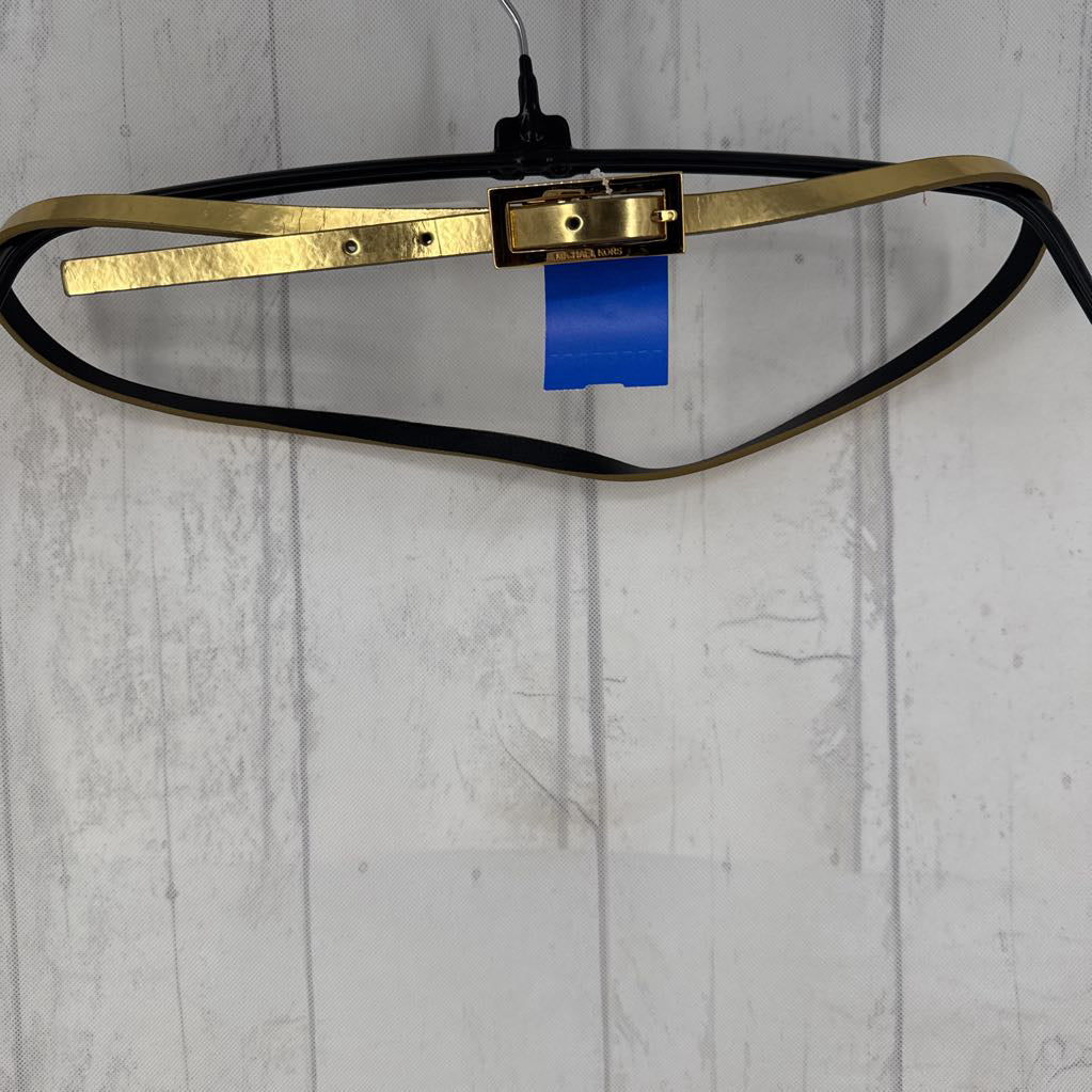 R38 L gold skinny belt