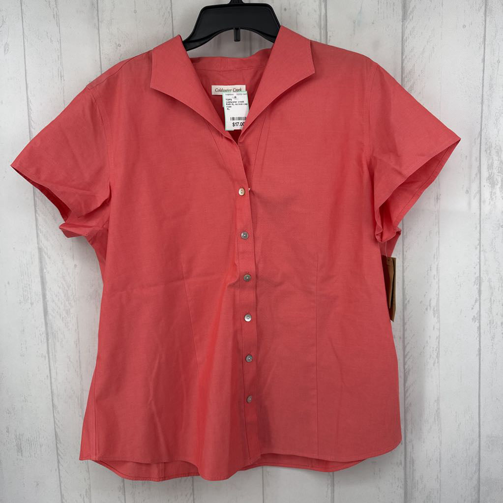R49 XL no iron cap slv shirt