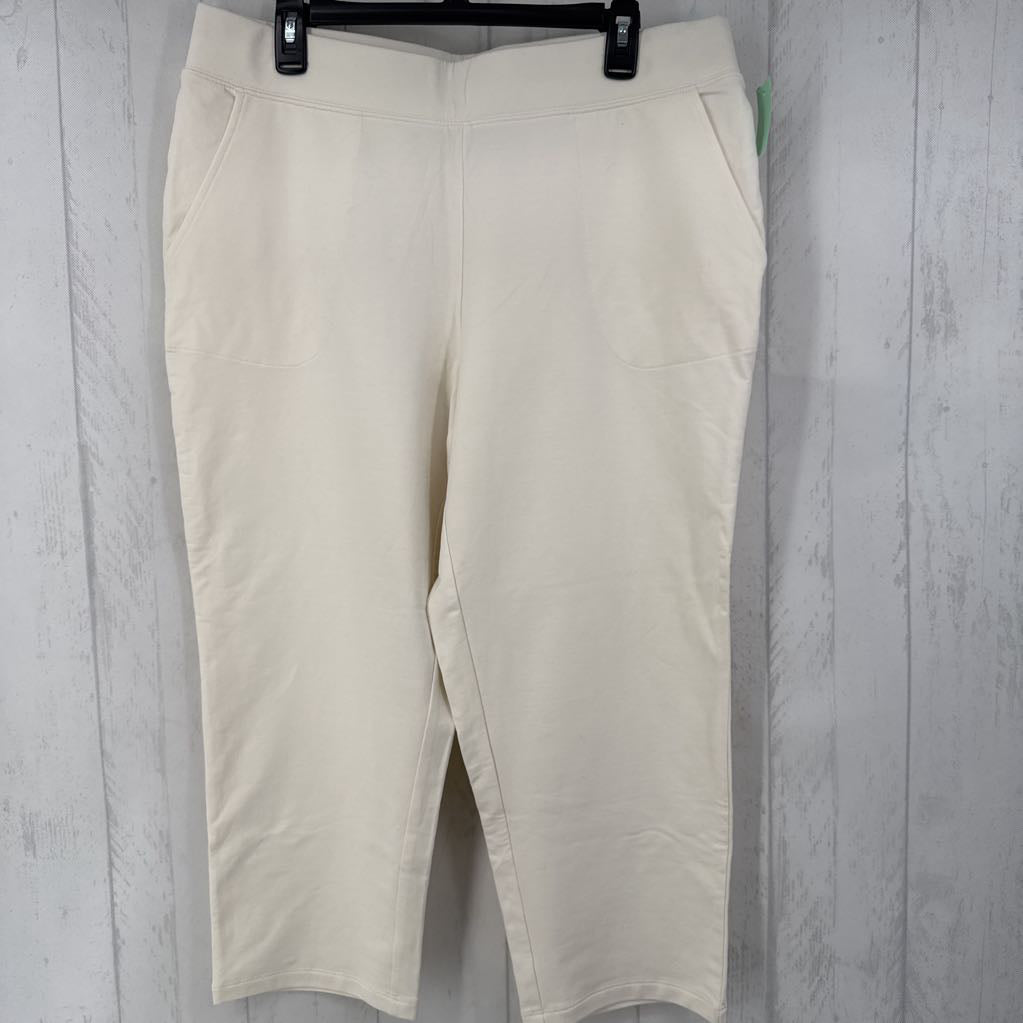 L pull on knit pants