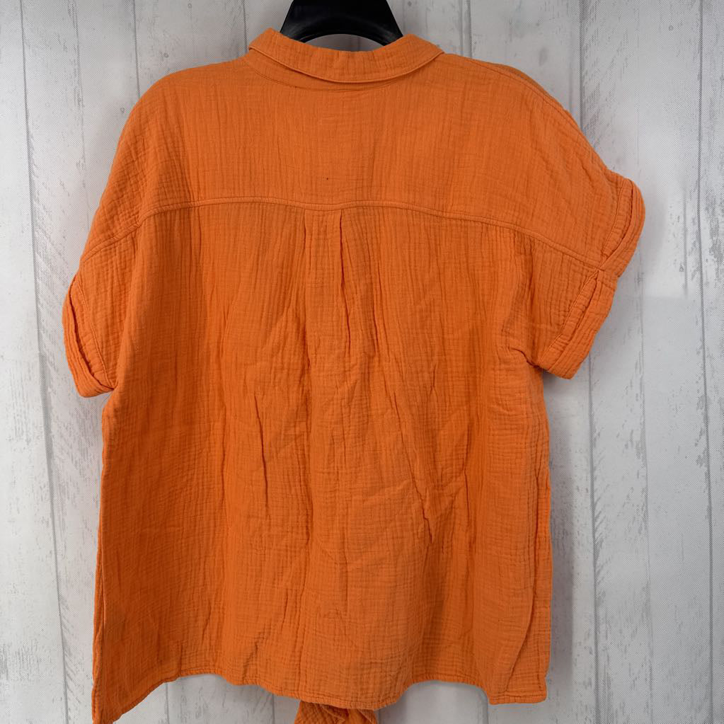 L cuff s/s gauze button knotted shirt