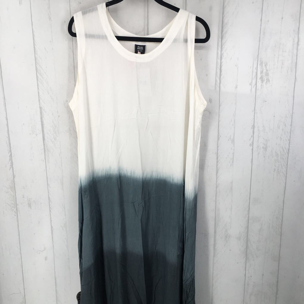 1X ombre slvls dress