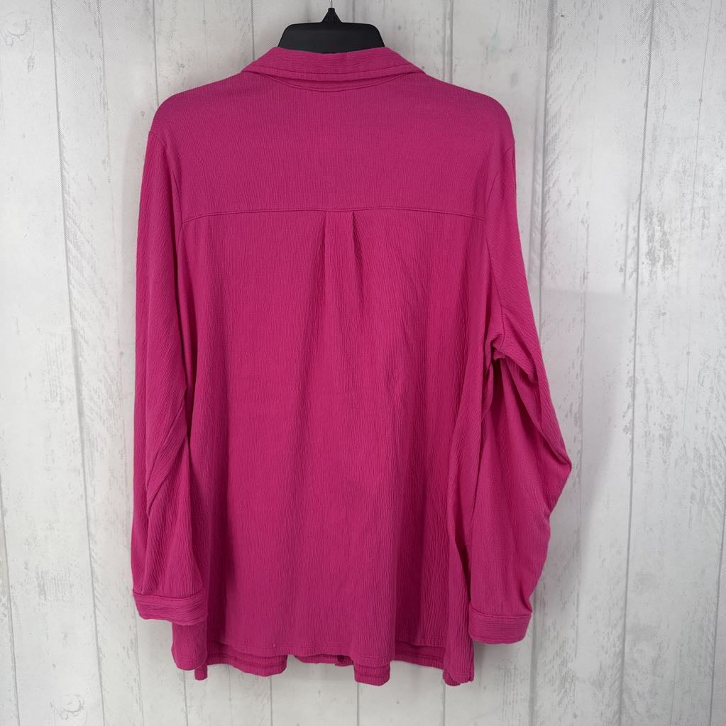 L button down l/s top