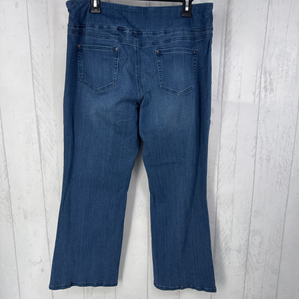 16p bootcut pull-on jean