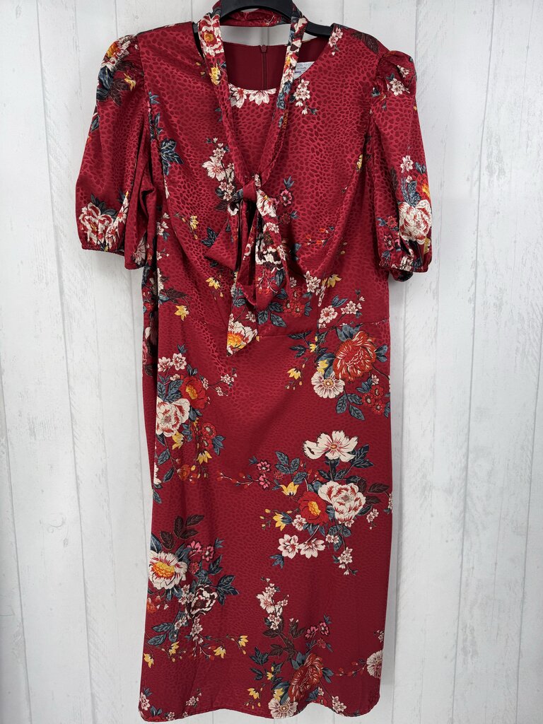 16w flo print belted s/s dress