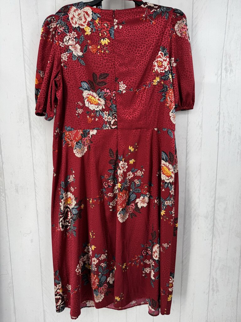 16w flo print belted s/s dress