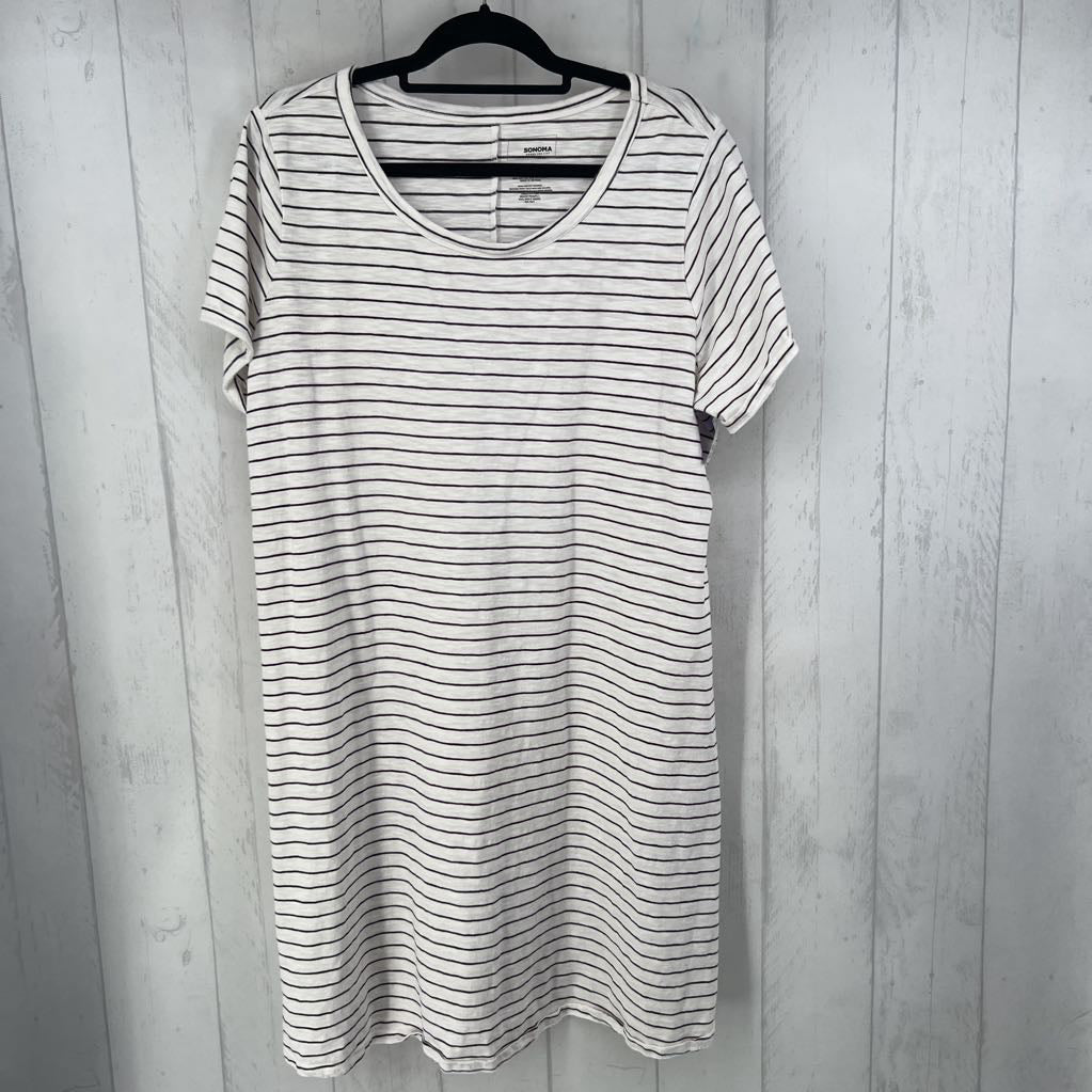 1X striped s/s dress