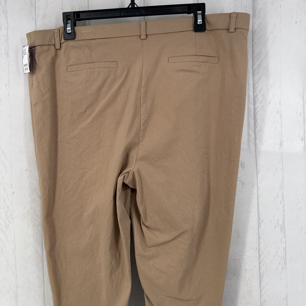 XL straight leg chino