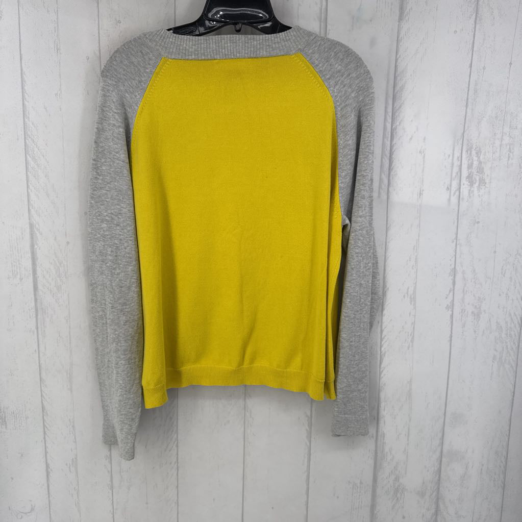 XL colorblock button down sweater