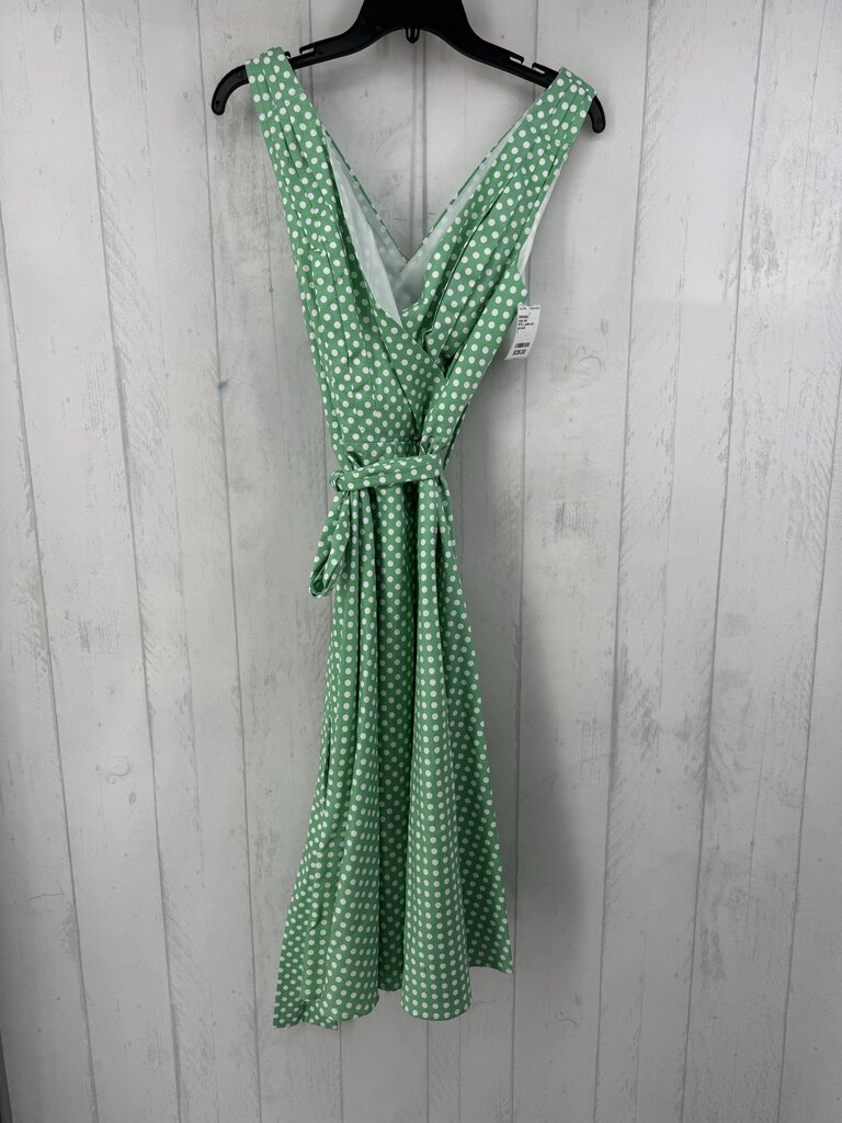 R70 L polka dot belted slvls dress