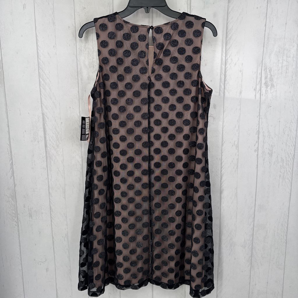 6 mesh polka dot slvls dress