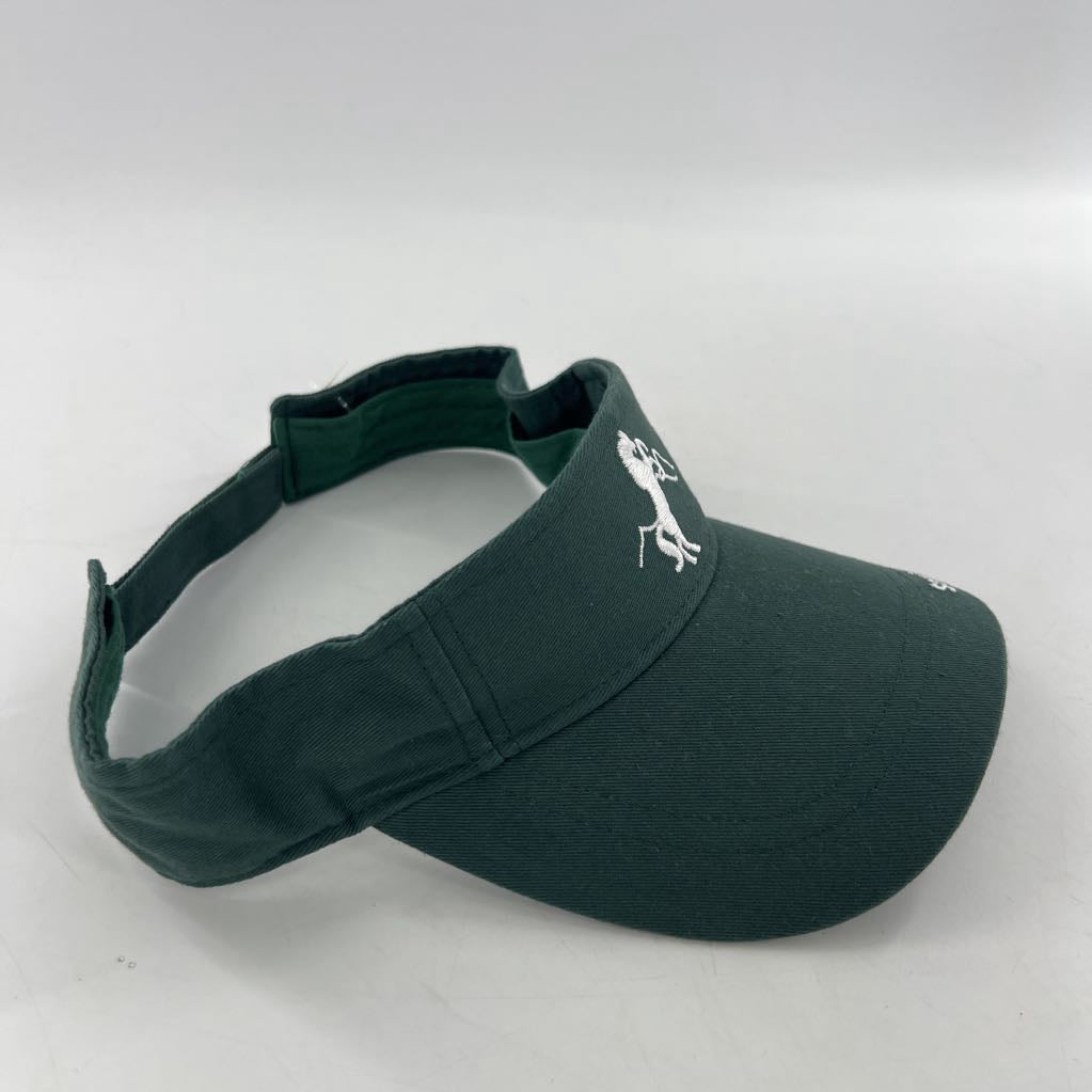 sun visor-mustang