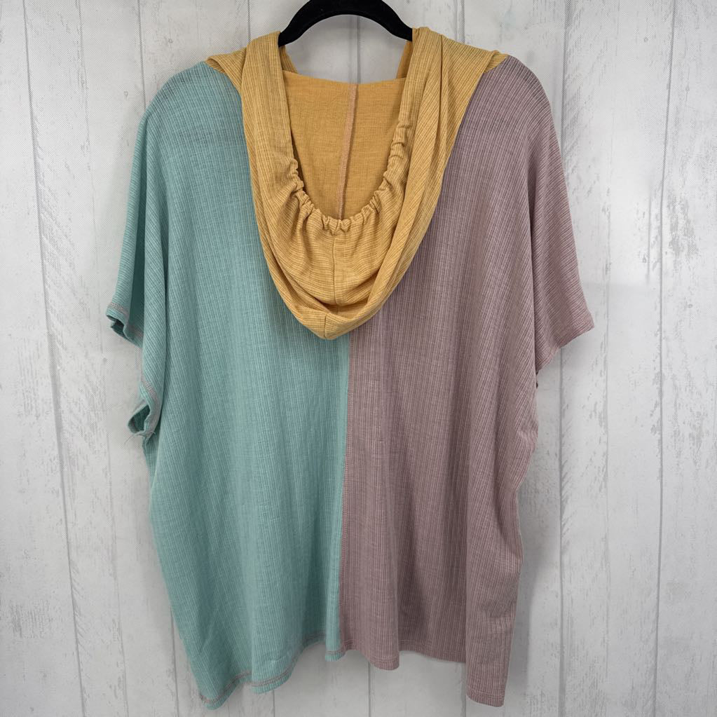3XL ribbed colorblock hooded s/s top