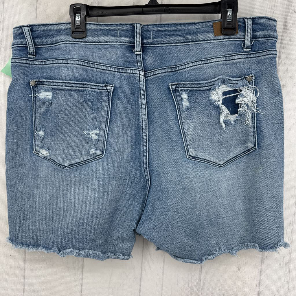 2XL cutoff jean shorts