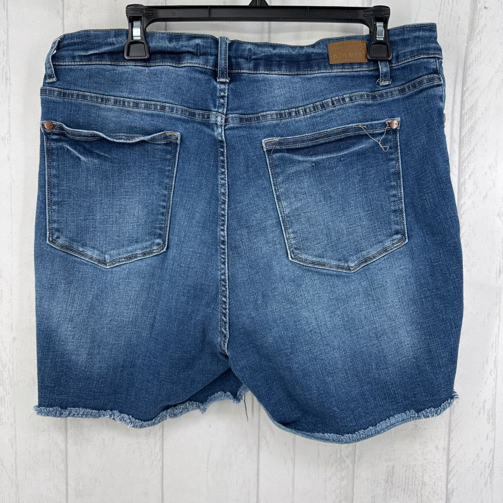 2XL cutoff jean shorts