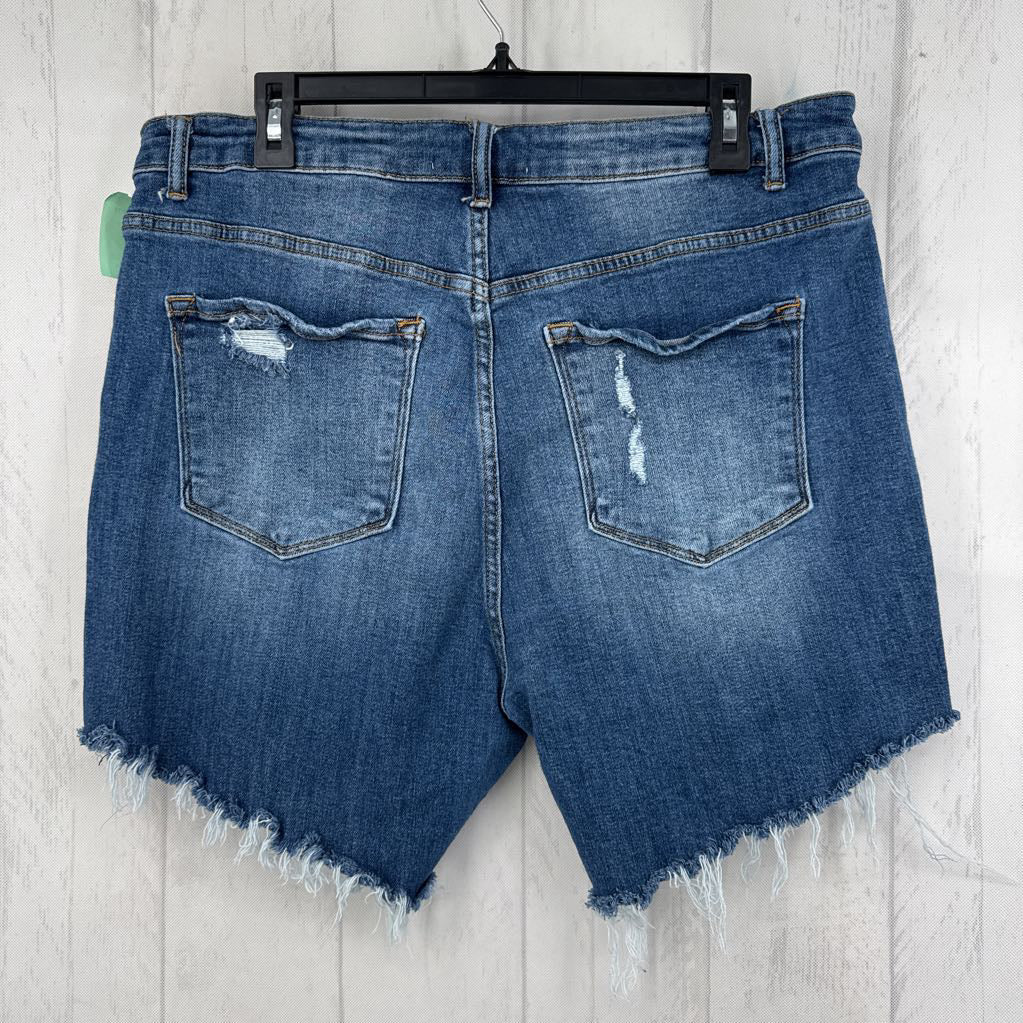 2XL cutoff jean shorts