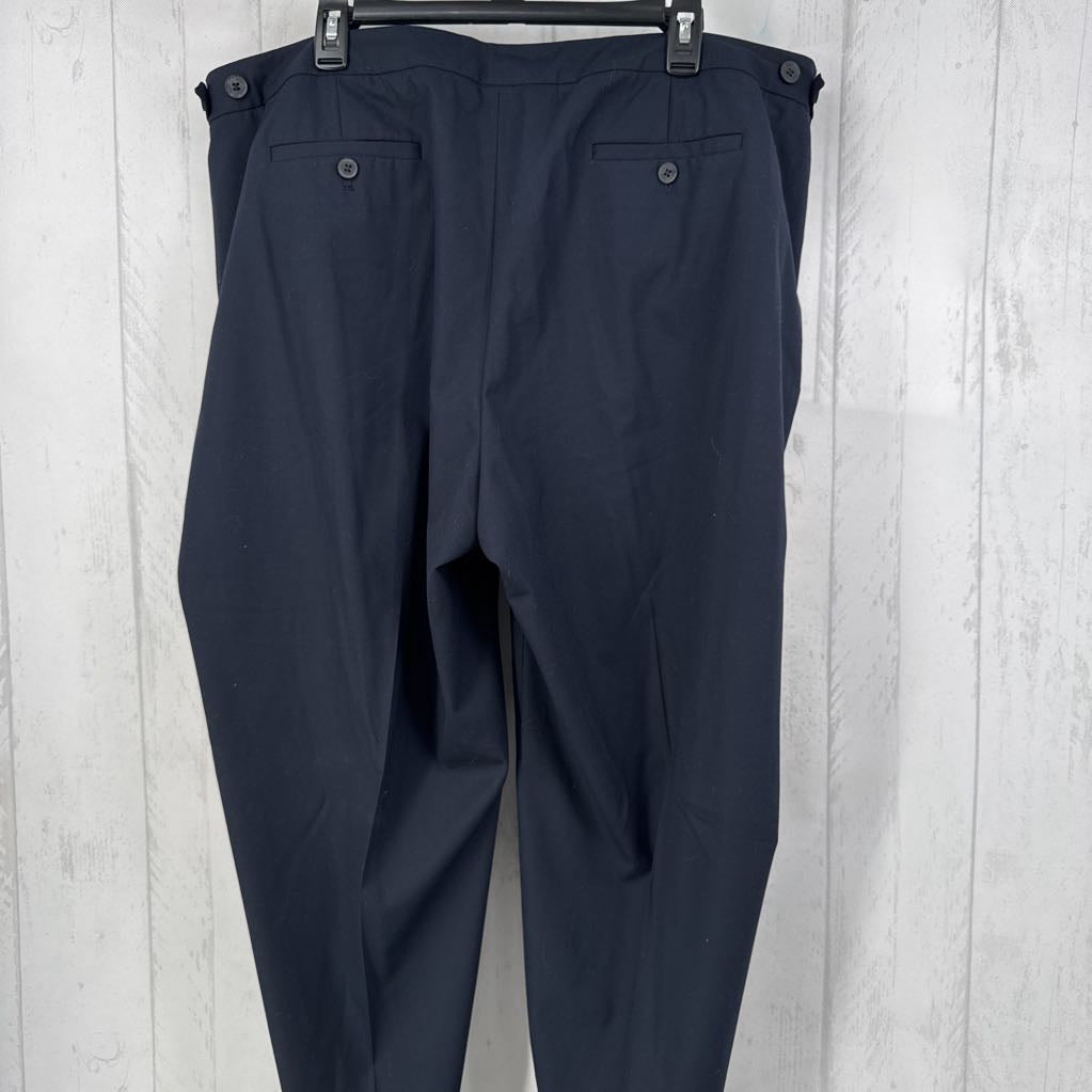 22w twill pants
