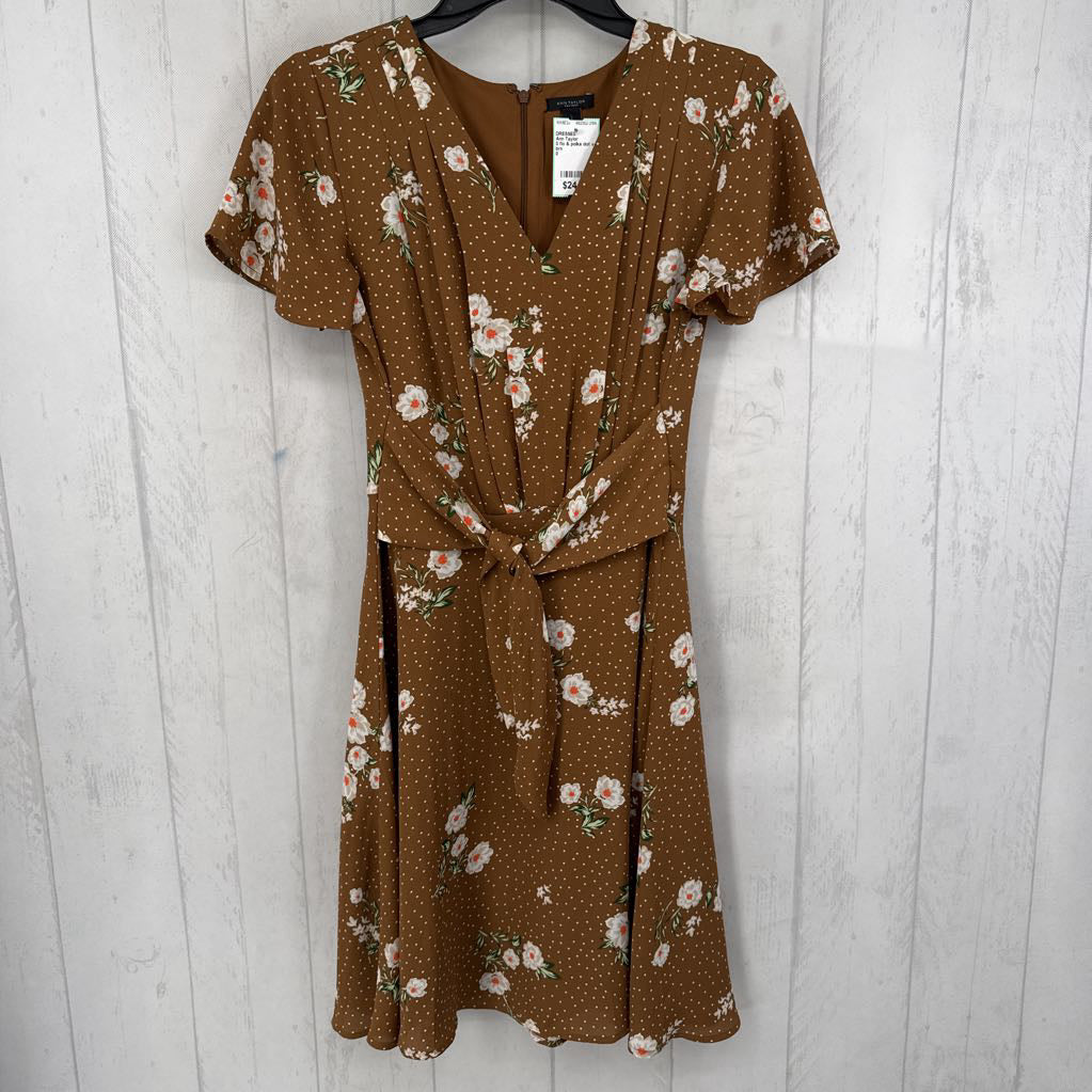 0 flo & polka dot v-neck s/s dress