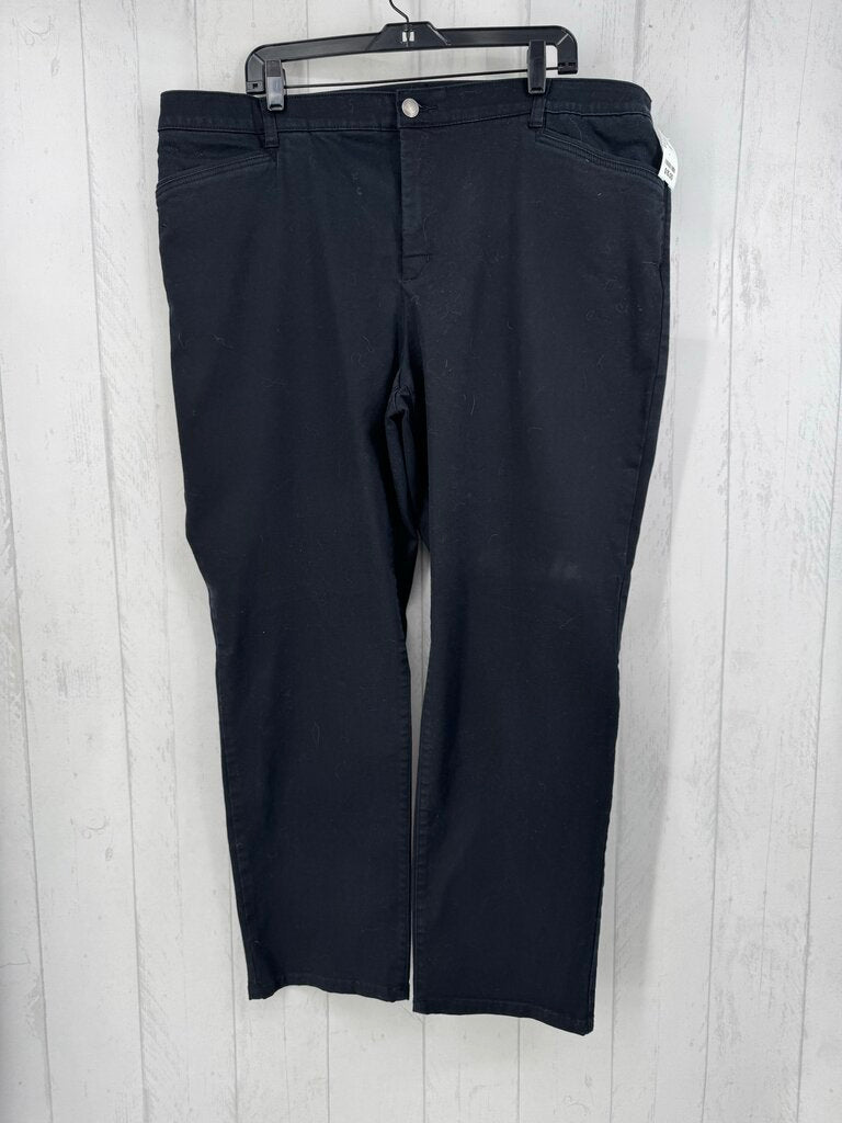 22w twill pants