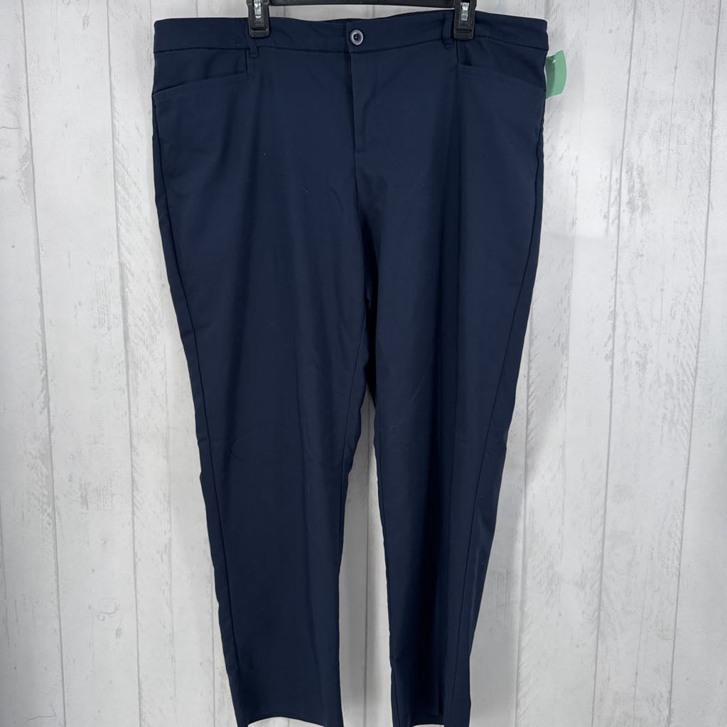 22w twill pants
