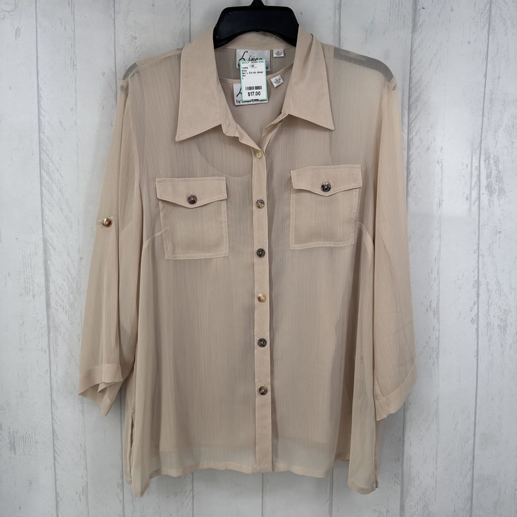 2pc L 3/4 slv sheer button shirt w/ cami