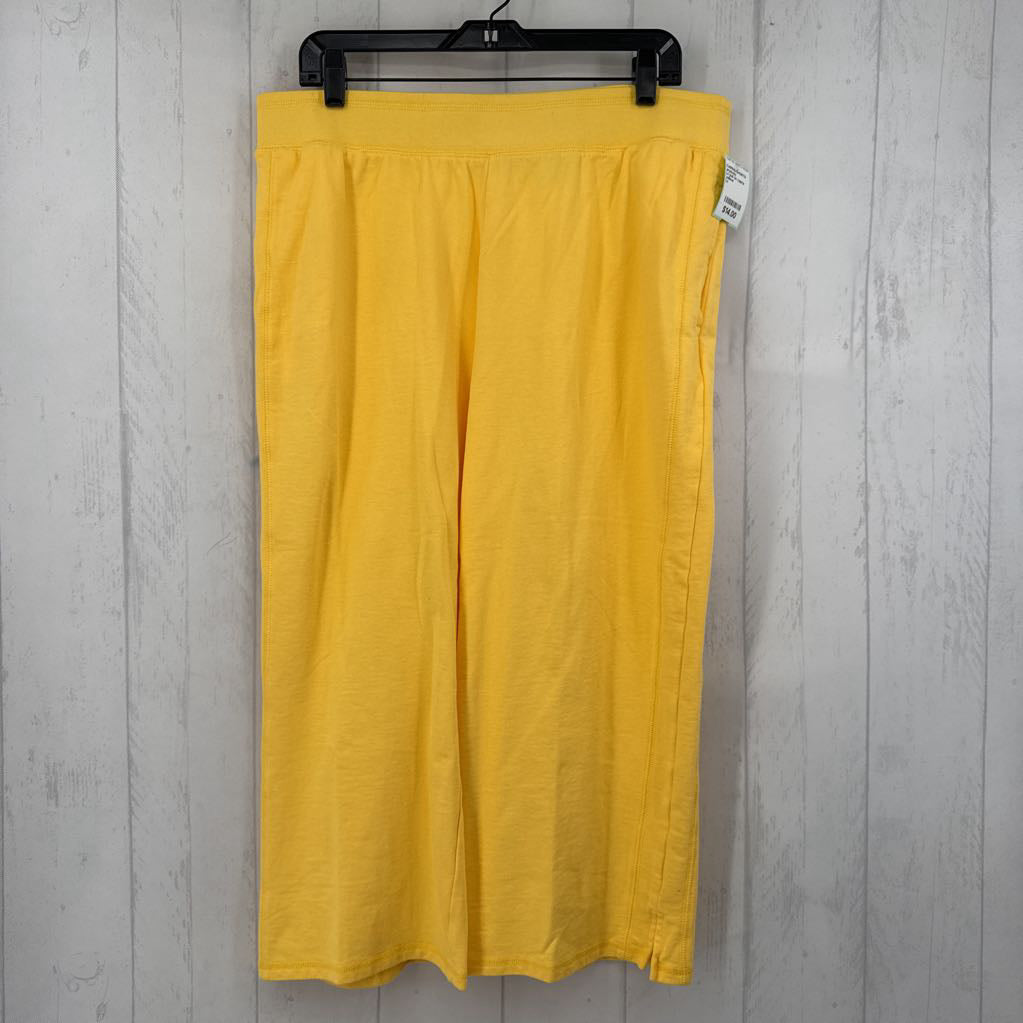 Lt pull on capris joggers