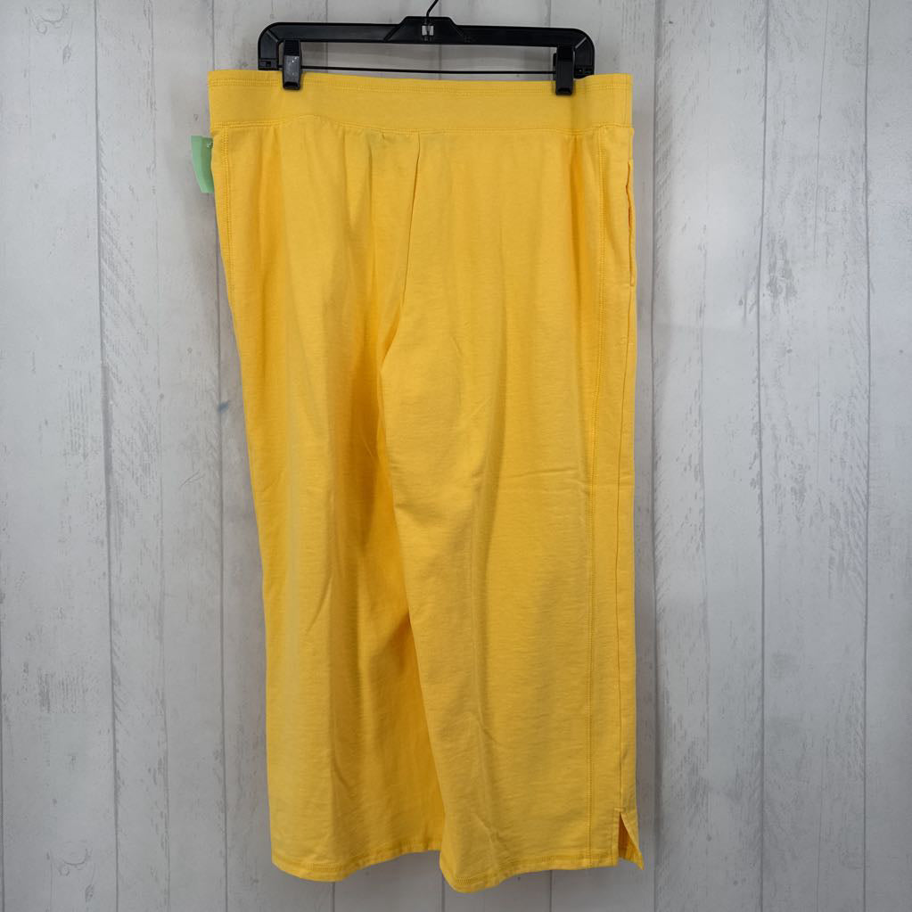 Lt pull on capris joggers