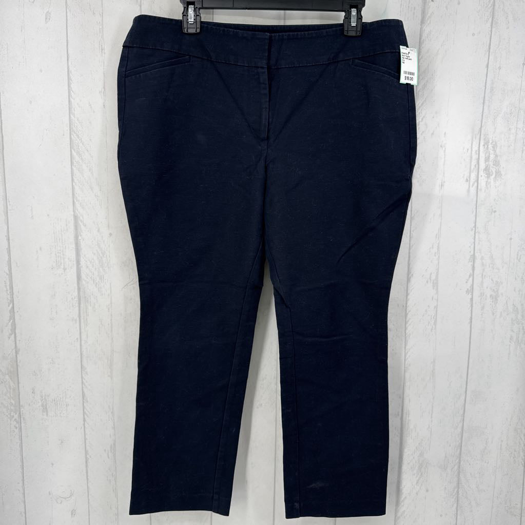 14p twill pant