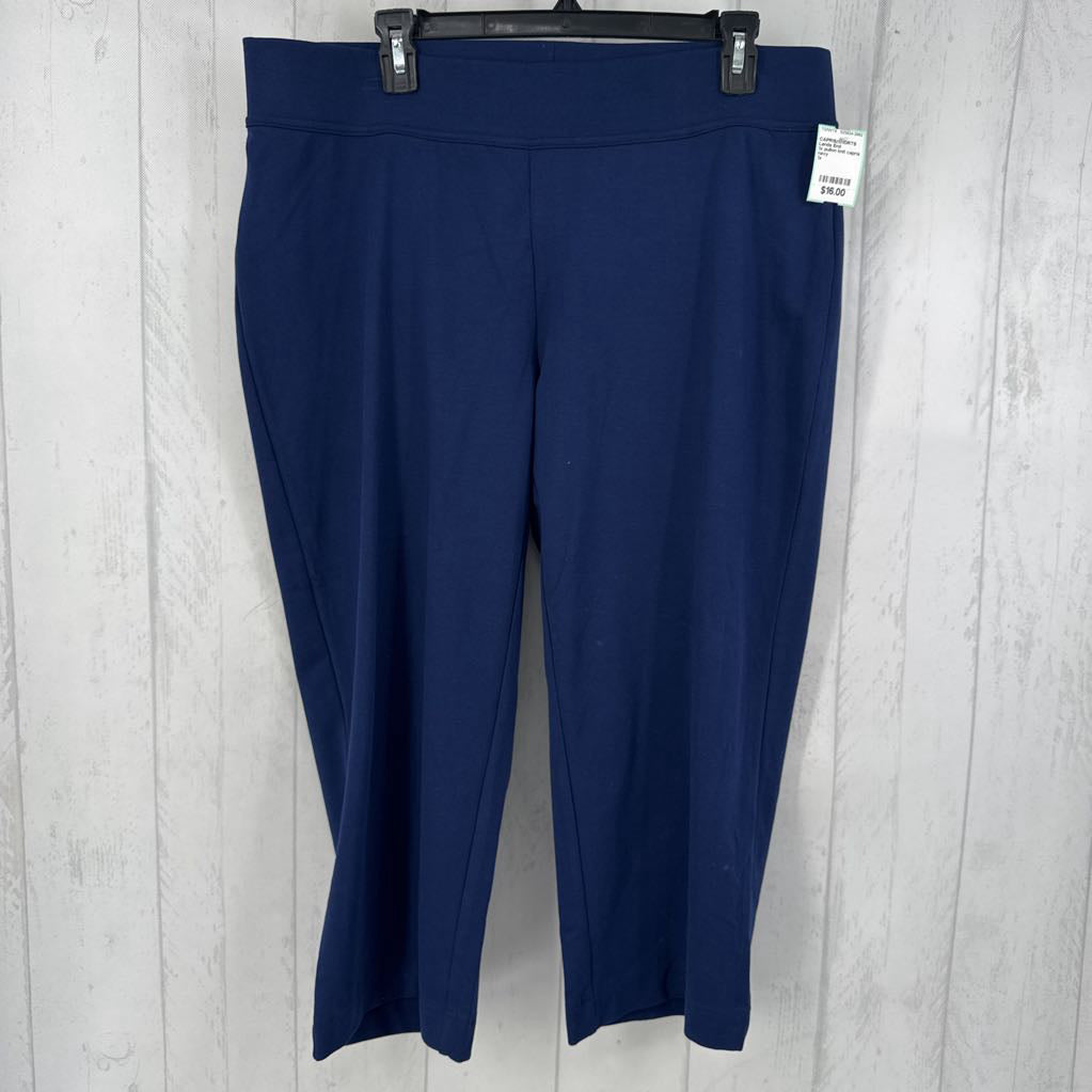 1x pullon knit capris