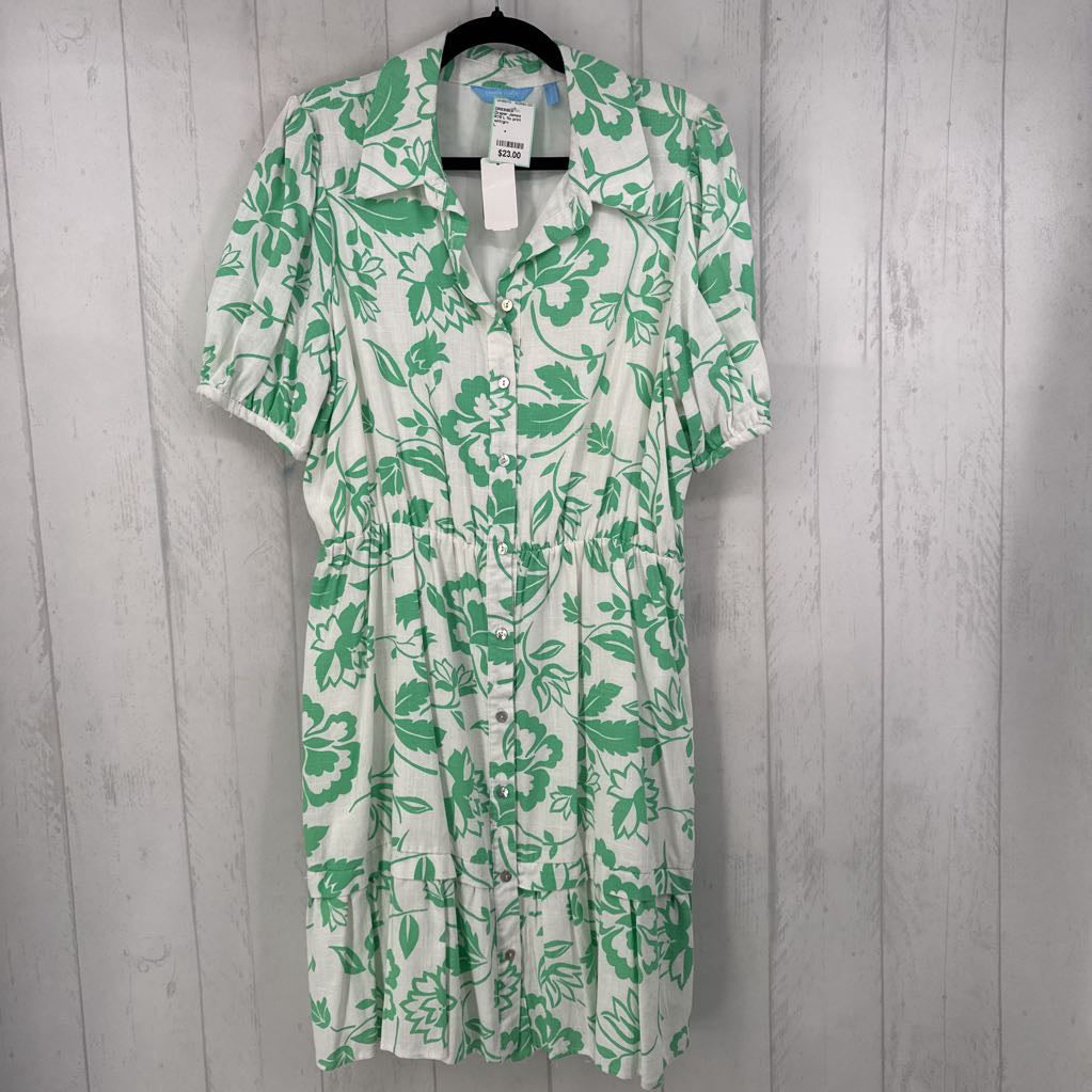 R78 L flo print button down s/s dress