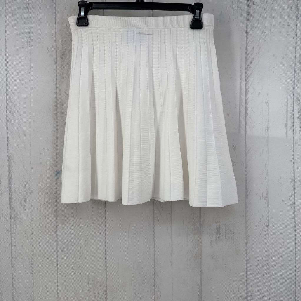 Pleated Elastic Waist Skirt