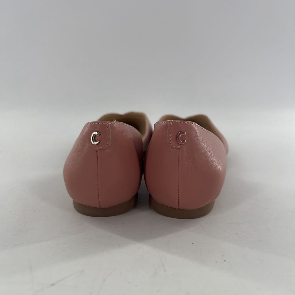 7.5 pointy toe embossed flats