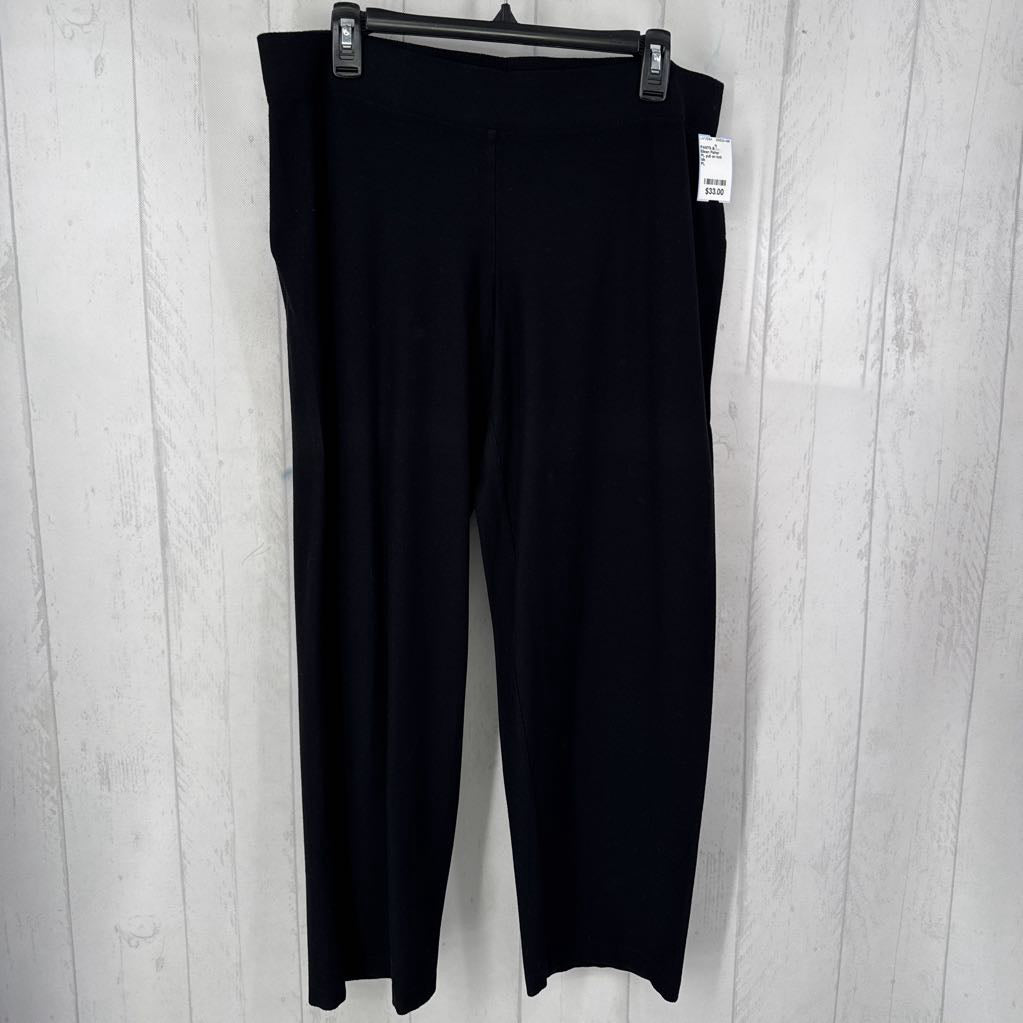 PL pull on knit pants