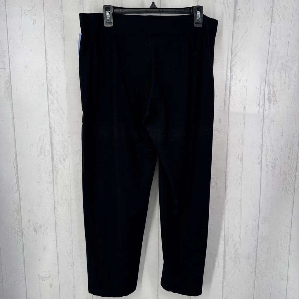 PL pull on knit pants