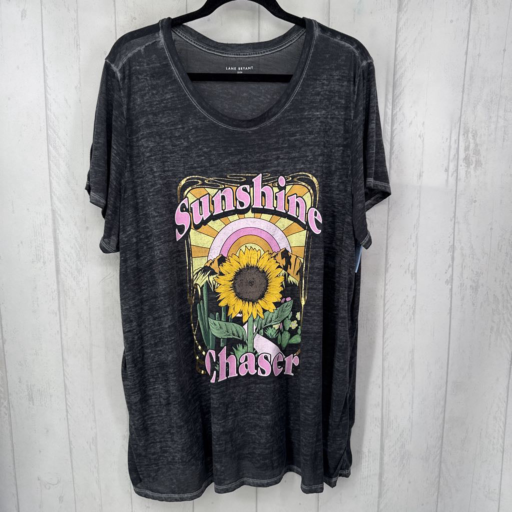 22/24 s/s sunflower top