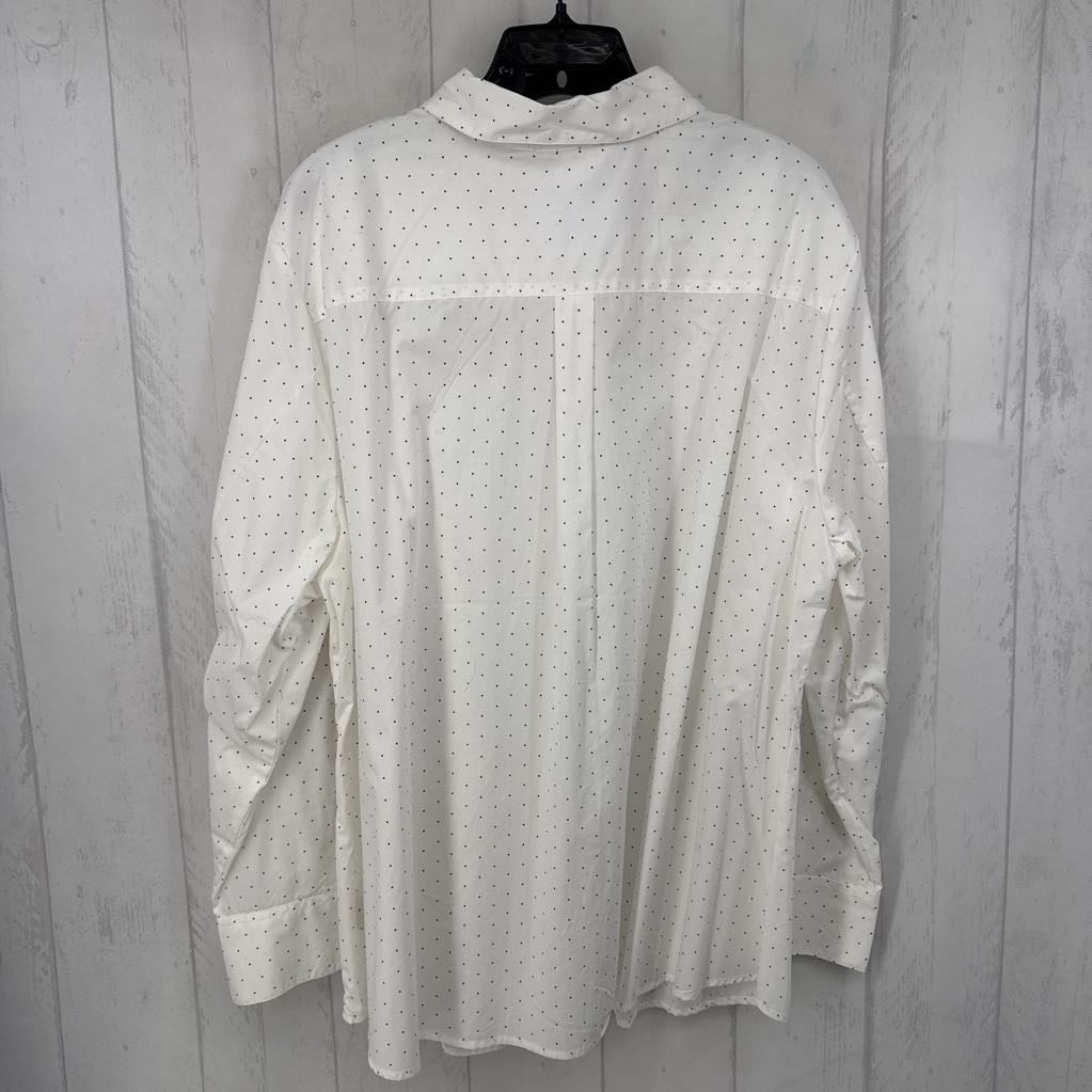 3x l/s dot print button shirt