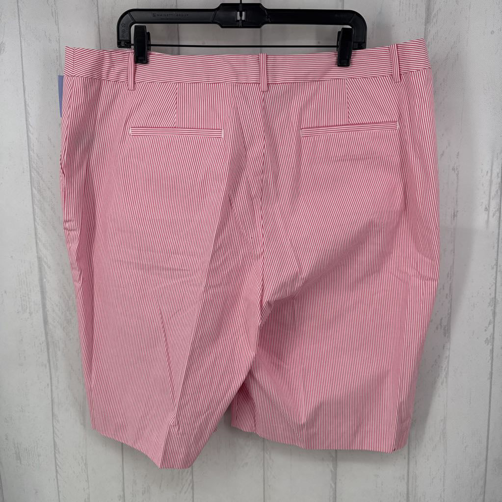 18w striped bermuda shorts