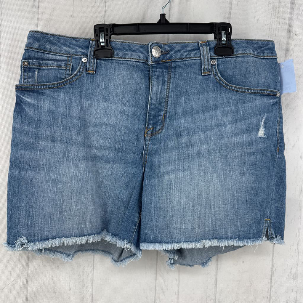 12 cutoff jean shorts