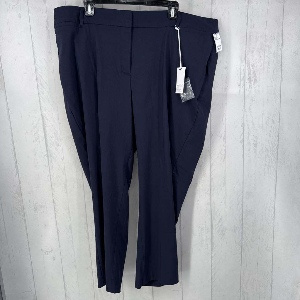 R70 22 skinny ankle pants