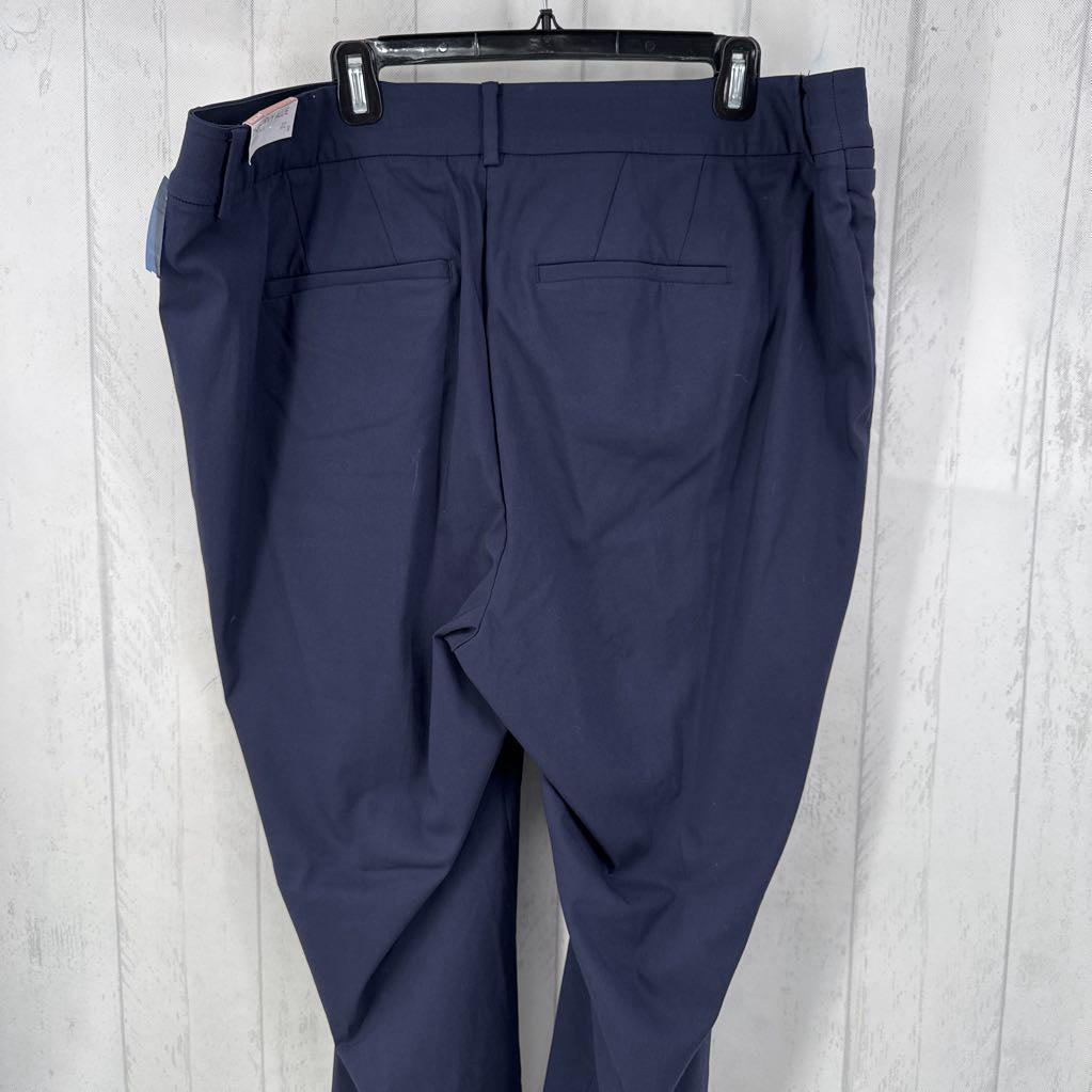 R70 22 skinny ankle pants