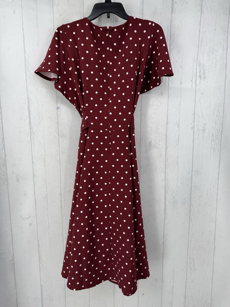 16 polka dot v-neck belted s/s dress